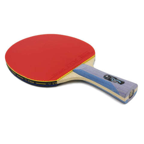 Double Pimples-in Rubber Ping Pong Racket
